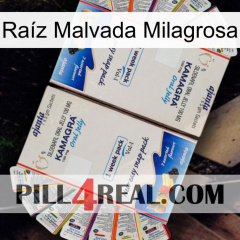 Raíz Malvada Milagrosa kamagra1